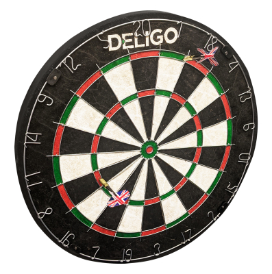 Deligo Branded Dartboard